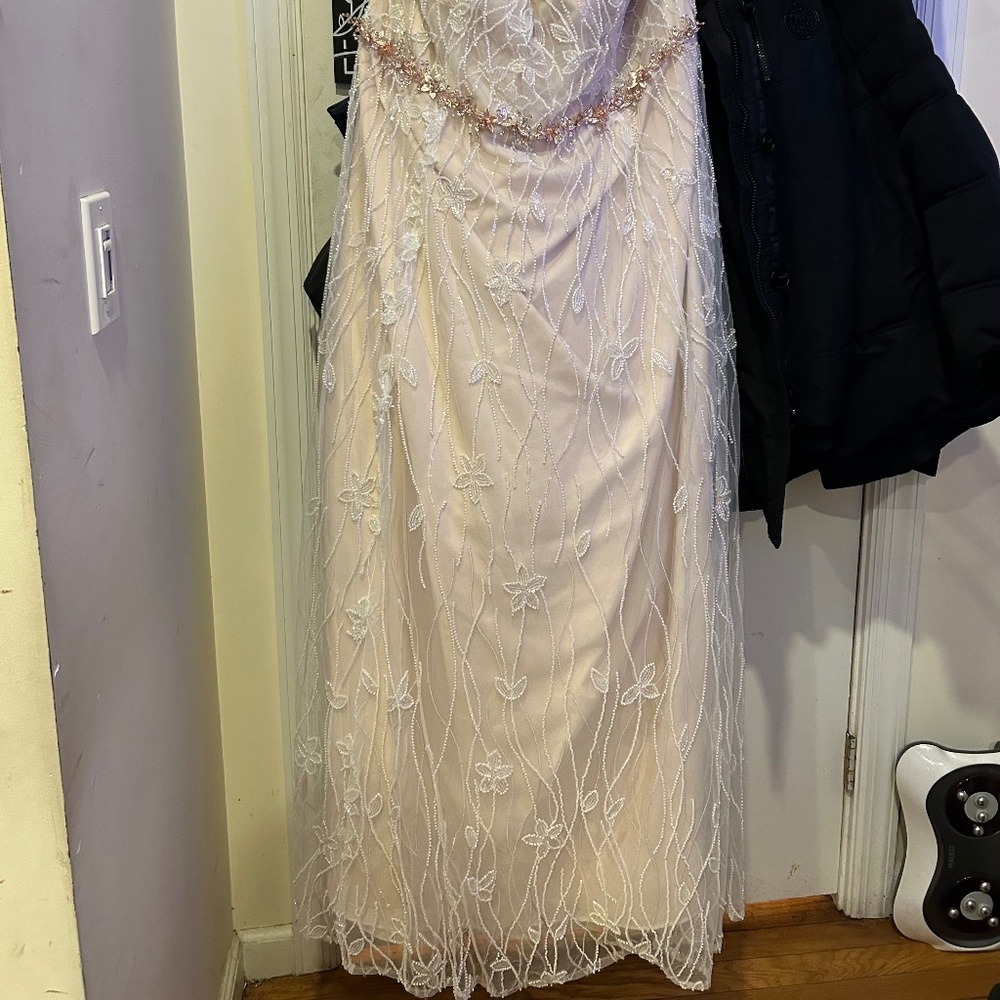 Wedding Dress and Veil